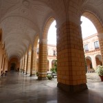 IMG_5101